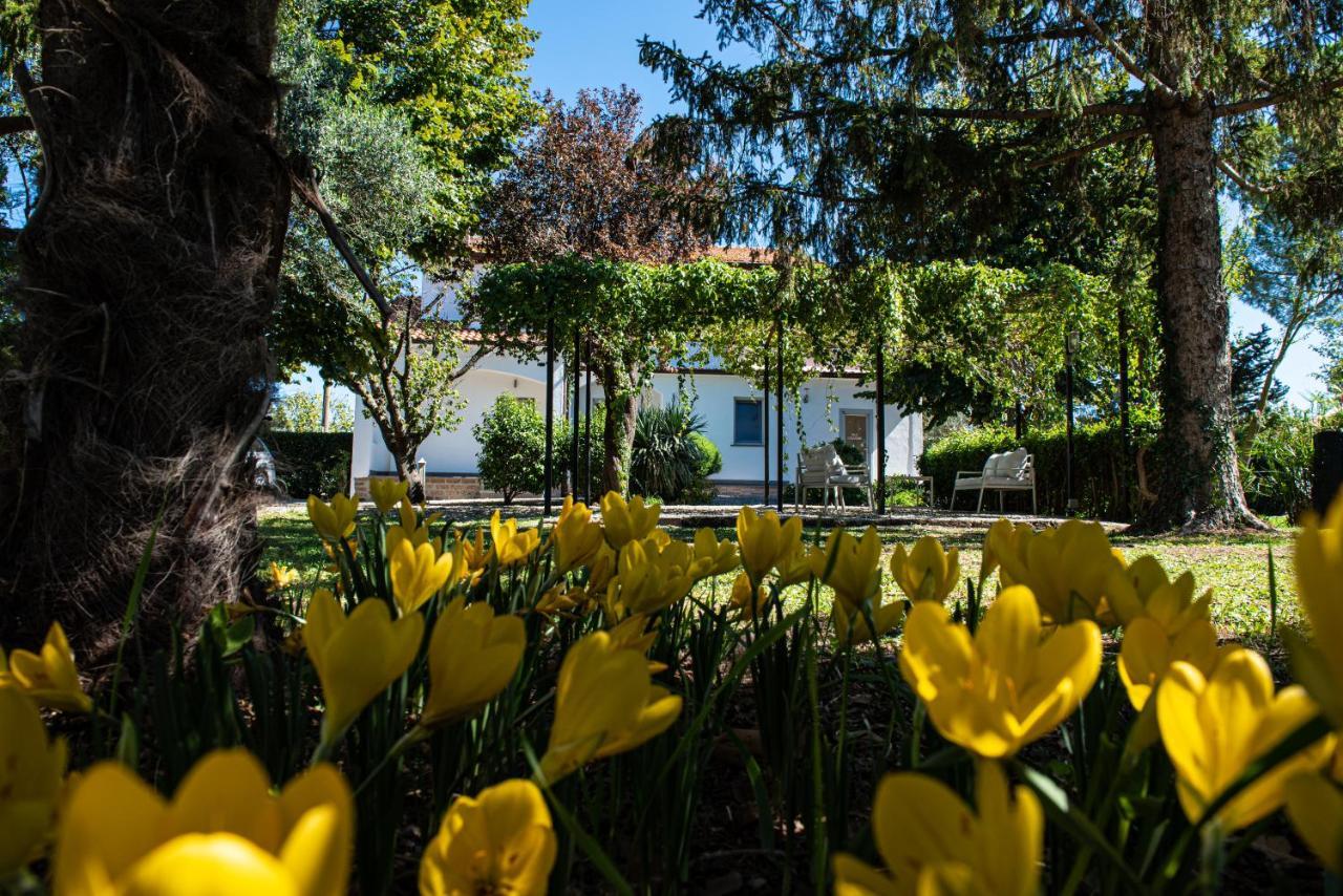 Terre Etrusche Guest House-Terme -3 Minuti Da Viterbo Centro ภายนอก รูปภาพ