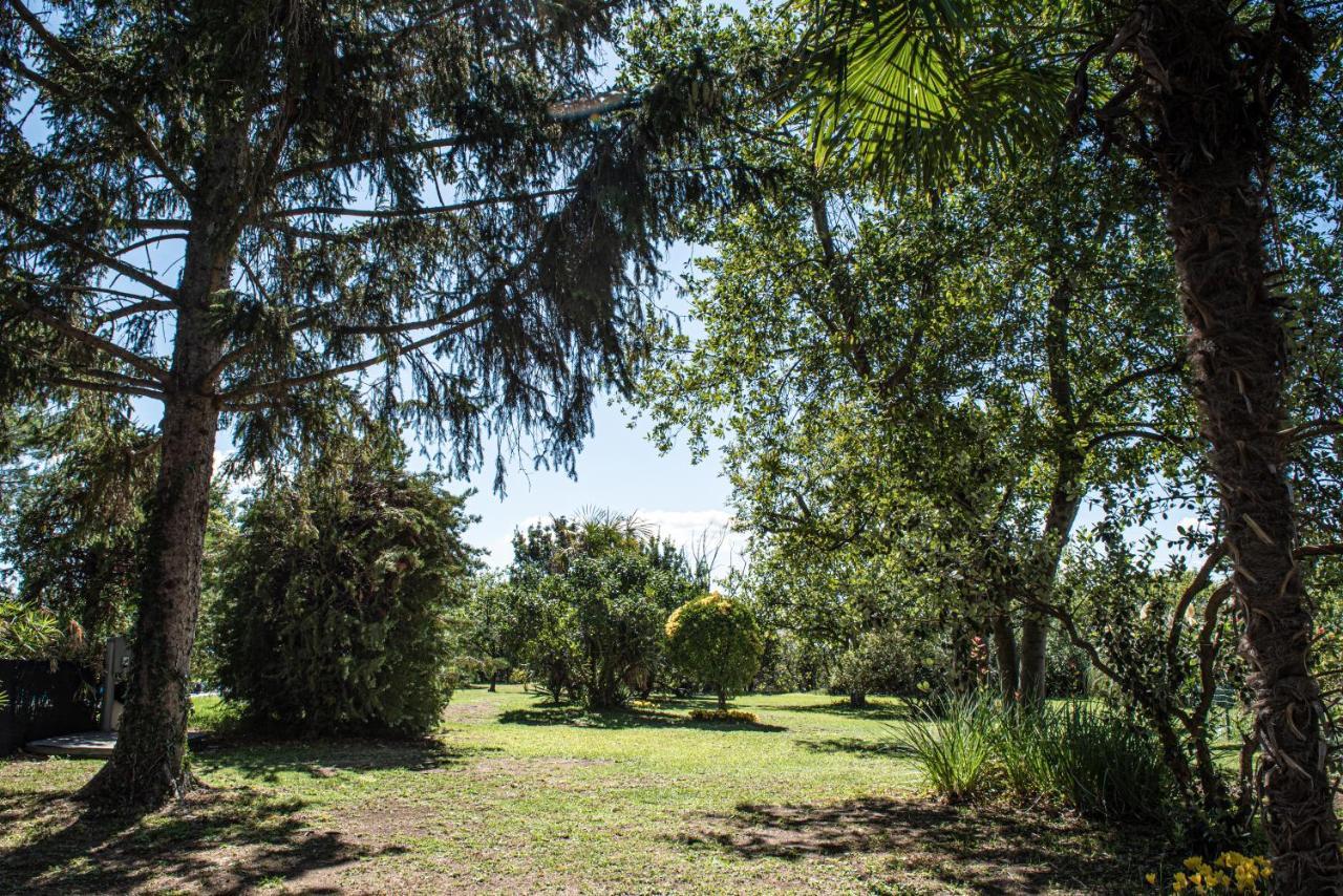 Terre Etrusche Guest House-Terme -3 Minuti Da Viterbo Centro ภายนอก รูปภาพ